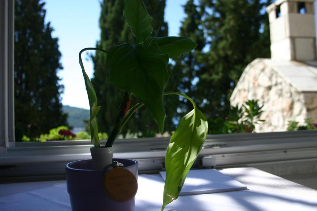 Apartments Dubrovnik Center Bilik gambar